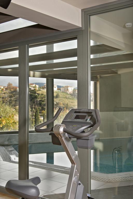 Aegli Arachova Hotel ภายนอก รูปภาพ